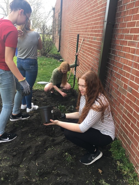 planting the butterfly garden planting the butterfly garden
